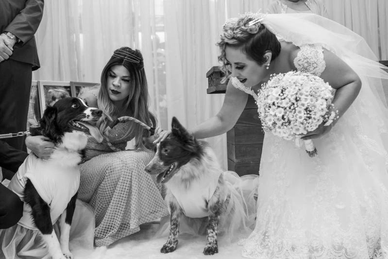 assessoria para festa